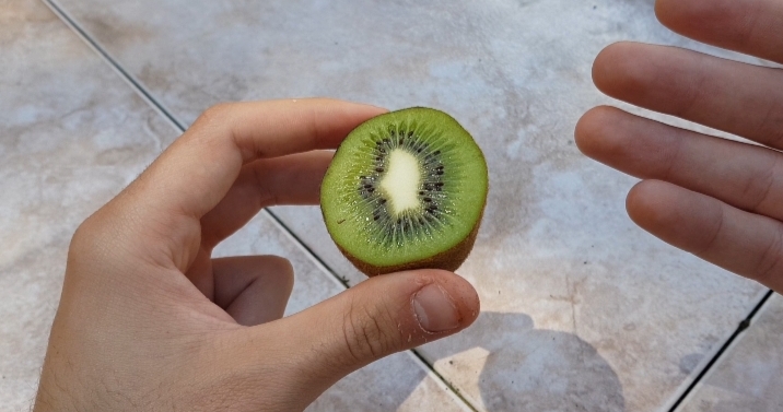 Cómo sembrar y germinar kiwi