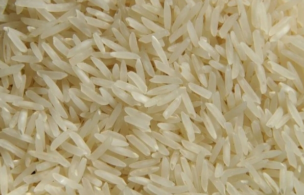 arroz para hacer abono